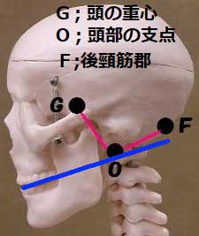 首と頭の重心