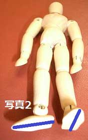 股関節・写真2