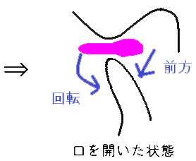 口を開いた状態