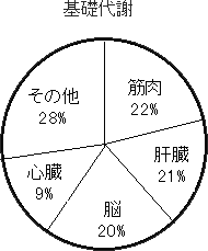 基礎代謝のグラフ